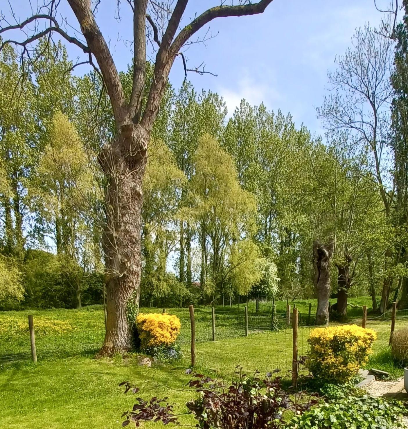 Holiday home Nature Et Moi Wittes